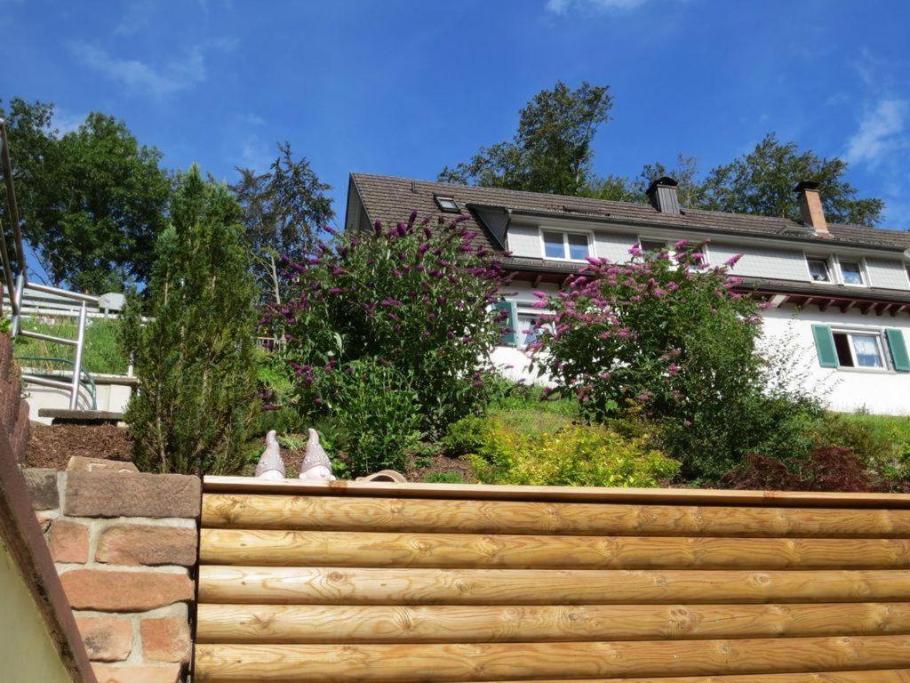 Ferienwohnung Am Kapellenberg - Am Rande Des Nationalparks Schwarzwald Бад Петерстал-Грисбах Екстериор снимка