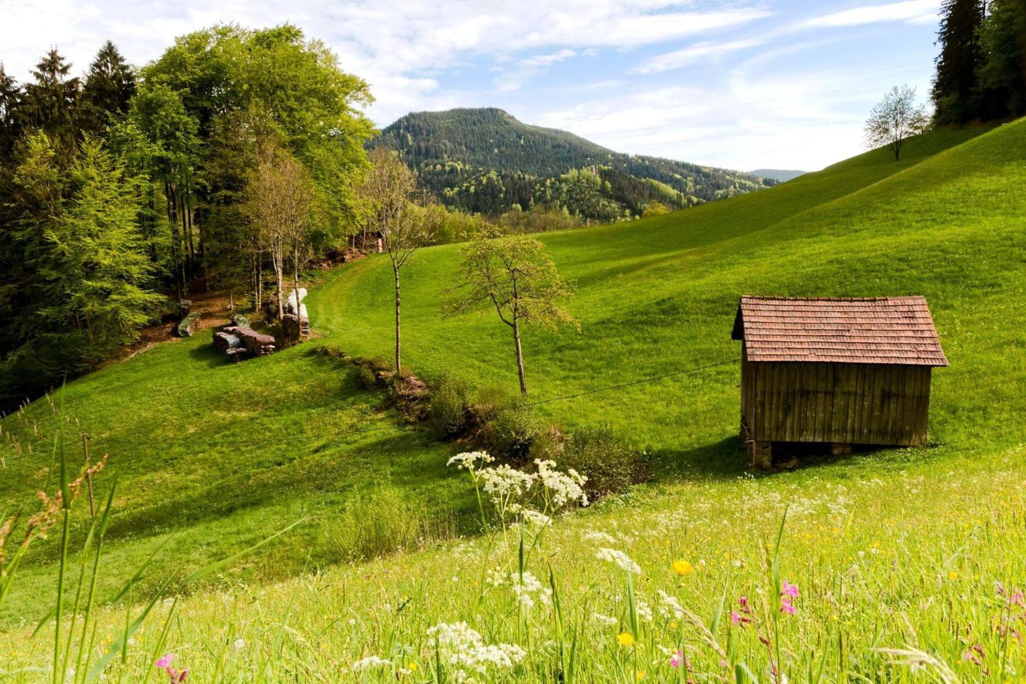 Ferienwohnung Am Kapellenberg - Am Rande Des Nationalparks Schwarzwald Бад Петерстал-Грисбах Екстериор снимка